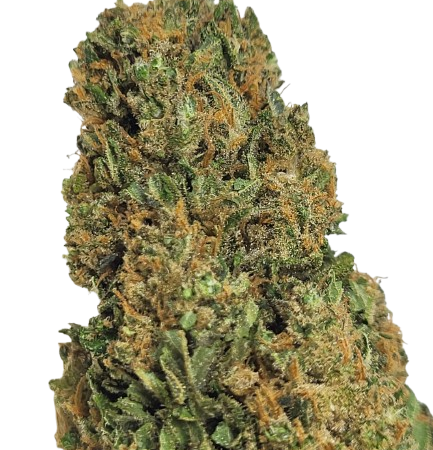 cbd pas cher